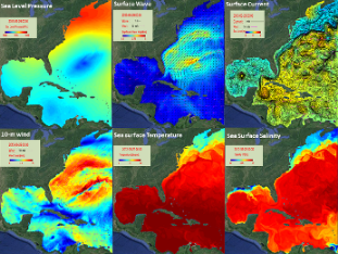 image: 6 views of model outputs