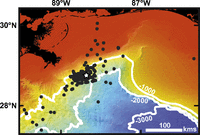 [map image of oil in Gulf of Mexico]