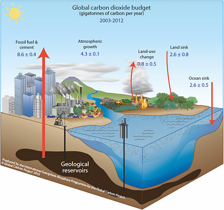 [diagram of global CO2 budget]