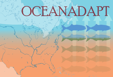 Image: OceanAdapt logo